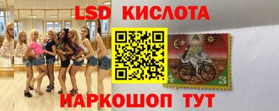прущие крисы Можга