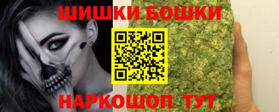 гидра Моздок