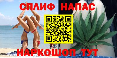 гидра Моздок