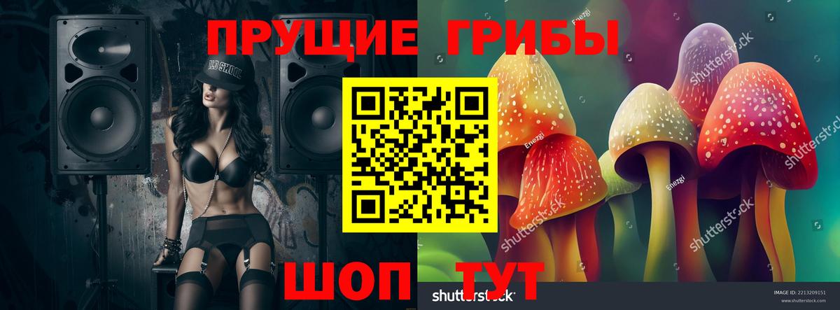 Тосно  Галлюциногенные грибы мицелий  Вход с VPN  где купить   Галлюциногенные грибы Cubensis 
